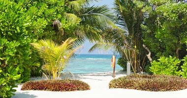 A private beach in the courtyard of a huge luxury villa with a private pool and water slide on a clear sunny day, a paradise for relaxation and vacation video