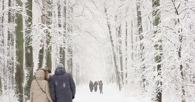People walking in snow-covered public park in holidays, winter fairy tale in the forest, snow-covered tree branches, heavy snowfall, large flakes of snow are slowly falling, snow storm, blizzard video