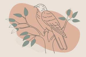 Cuckoo bird sitting on tree branch art on white background vector