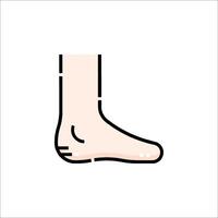 A foot with a long toe on it vector