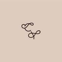 wedding typography monogram luxurious organic style and elegant concept CY dynamic line initial letter vector