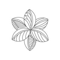 Decorative mandala with floral patterns and leaves on a white isolated vector