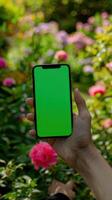 male hand holding phone with green screen on blurred background of flowers. photo