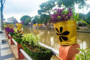 Colorful potted plants line a riverside walkway, adding vibrant greenery and charm to the urban landscape. The yellow pots with black flower designs stand out beautifully photo