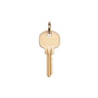 A close-up of a new key isolated on a white background, symbolizing security and access. png
