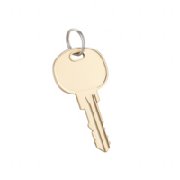 A close-up view of a shiny gold key hanging on a keyring, symbolizing security. png