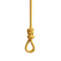 A close-up of a tied rope knot, symbolizing connection and strength. png
