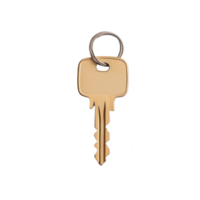 A close-up image of a single key on a keyring, symbolizing security and access. png