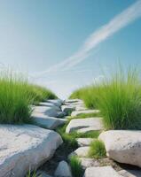 A rocky path with grass growing through the rocks photo