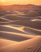 Majestic rolling sand dunes illuminated by a warm sunset glow in the desert landscapeMajestic rolling sand dunes illuminated by a warm sunset glow in the desert landscape. photo
