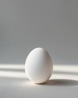 Single White Egg on Light Gray Background Still LifeSingle White Egg on Light Gray Background Still Life. photo