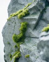 Close Up of Stone with Chisel Marks and MossClose Up of Stone with Chisel Marks and Moss. photo