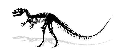 The silhouette of skeleton ancient big dinosaur. vector