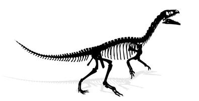 Skeleton of a prehistoric ancient big dinosaur. vector