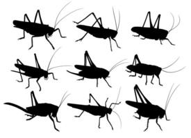 The Set of silhouettes of a locust. vector