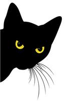 The Predatory glance home a black cat. vector