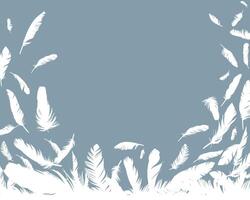 Background with bird feathers. vector