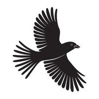 a black bird flying in the air on a white background vector