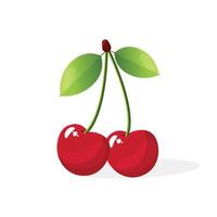 cherry with leaves flat illustration isolated on white background vector