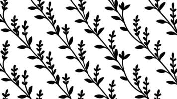 Beautiful botanical pattern with floral outlines and elegance. vector