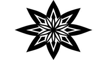 Elegant floral mandala illustration with intricate details vector