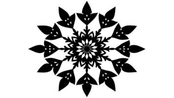 Graceful floral frame perfect for decorative vector