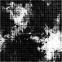 Smokes Halftone Dotted Pattern vector