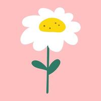 Chamomile. Flat design. illustration on pink background. vector