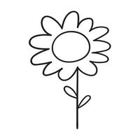Chamomile. Icon. Outline illustration on white background. vector