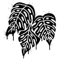 Graffiti monstera leaf icon isolated on white background. vector