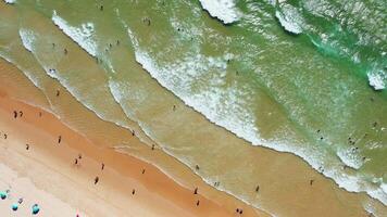 People Enjoying a Sunny Afternoon at the Beach With Waves and Umbrellas in Sight video