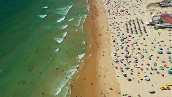 Aerial View of a Crowded Beach With Colorful Umbrellas and Swimmers During a Sunny Summer Day video