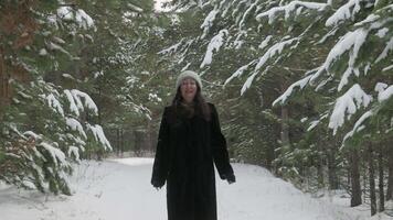 Cheerful woman pointing up while standing on snow covered land. Female is exploring confierous tree in forest. She is in warm clothing. video