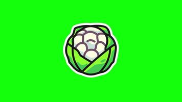 Green Screen Animation of Smiling Cauliflower Character in 4K video