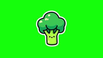 Smiling Broccoli Character on 4K Green Screen Animation for Background video