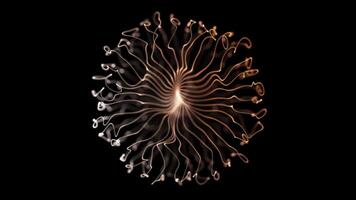 Abstract Spiral Light Form with Flowing Lines and Dots video