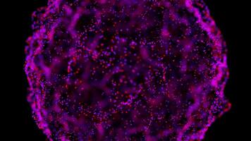 Vibrant Purple and Red Particle Sphere with Dynamic Abstract Flow video