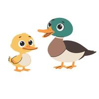 Cute duckling and duckling isolated on white background. illustration. vector