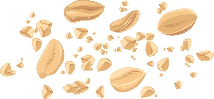 Peanuts. For design projects, food packaging, advertising, or creating educational materials, ideal for use in food-related brandings