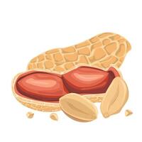 Peanuts in shell. For design projects, food packaging, advertising, or creating educational materials, ideal for use in food-related branding, health-conscious products, or culinary-themed artwork vector