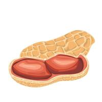 Peanuts in shell. For design projects, food packaging, advertising, or creating educational materials, ideal for use in food-related branding, health-conscious products vector