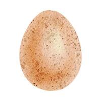 Orange Speckled Easter egg. Isolated hand drawn watercolor illustration of colored Simple Easter Egg. Design element for Happy Easter cards, wrapping paper, textiles, posters and invitations. vector