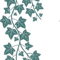 A vine with leaves on it vector