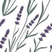 Botanical Garden Lavender Seamless Tile Pattern Serene Natural Purples for Tranquil Spaces vector