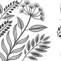 A set of black and white illustrations of leaves vector