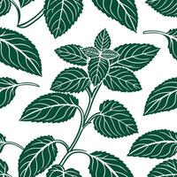 A seamless pattern with green leaves on a white background vector