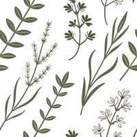 Herbals seamless pattern vector