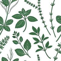 Herbs and leaves seamless pattern vector