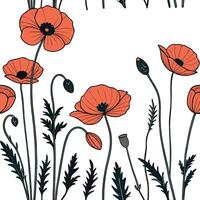 Poppy flowers and leaves on a white background vector