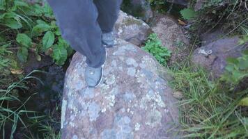 Walking over rocks in a lush natural setting with calm water reflections video